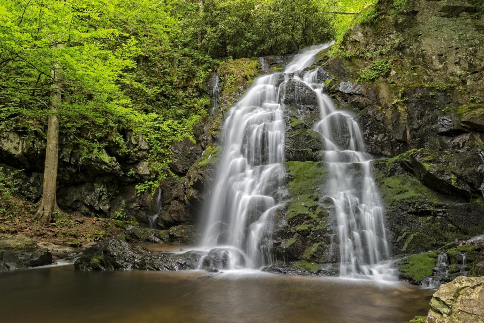 Whispering Winds, Hot Tub, Game Room, Wifi, 1089 Free Tickets Each Paid Day, Dollywood And More Gatlinburg Ngoại thất bức ảnh