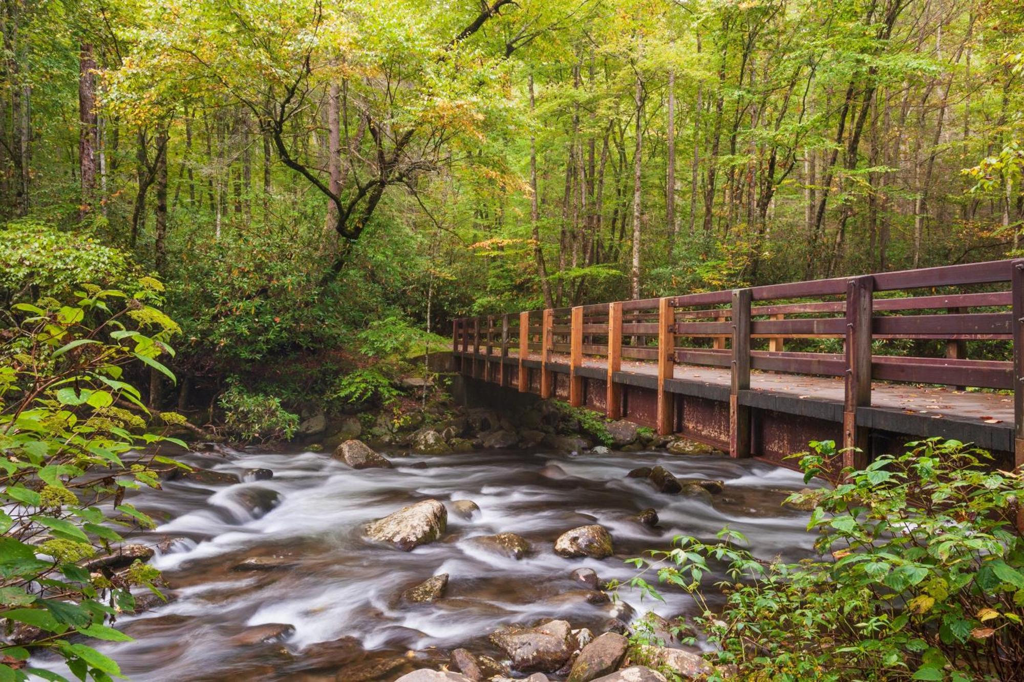 Whispering Winds, Hot Tub, Game Room, Wifi, 1089 Free Tickets Each Paid Day, Dollywood And More Gatlinburg Ngoại thất bức ảnh
